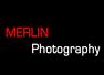 MERLIN Photography Hartlepool