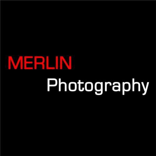 MERLIN Photography Hartlepool